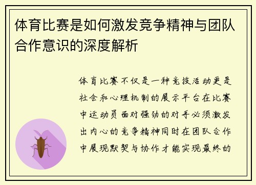 体育比赛是如何激发竞争精神与团队合作意识的深度解析